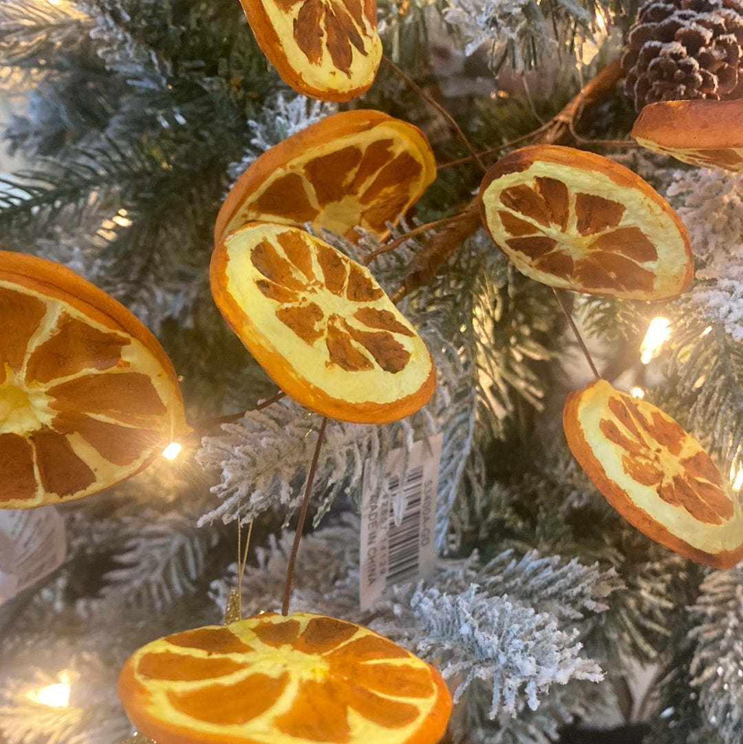Orange Slice Stem