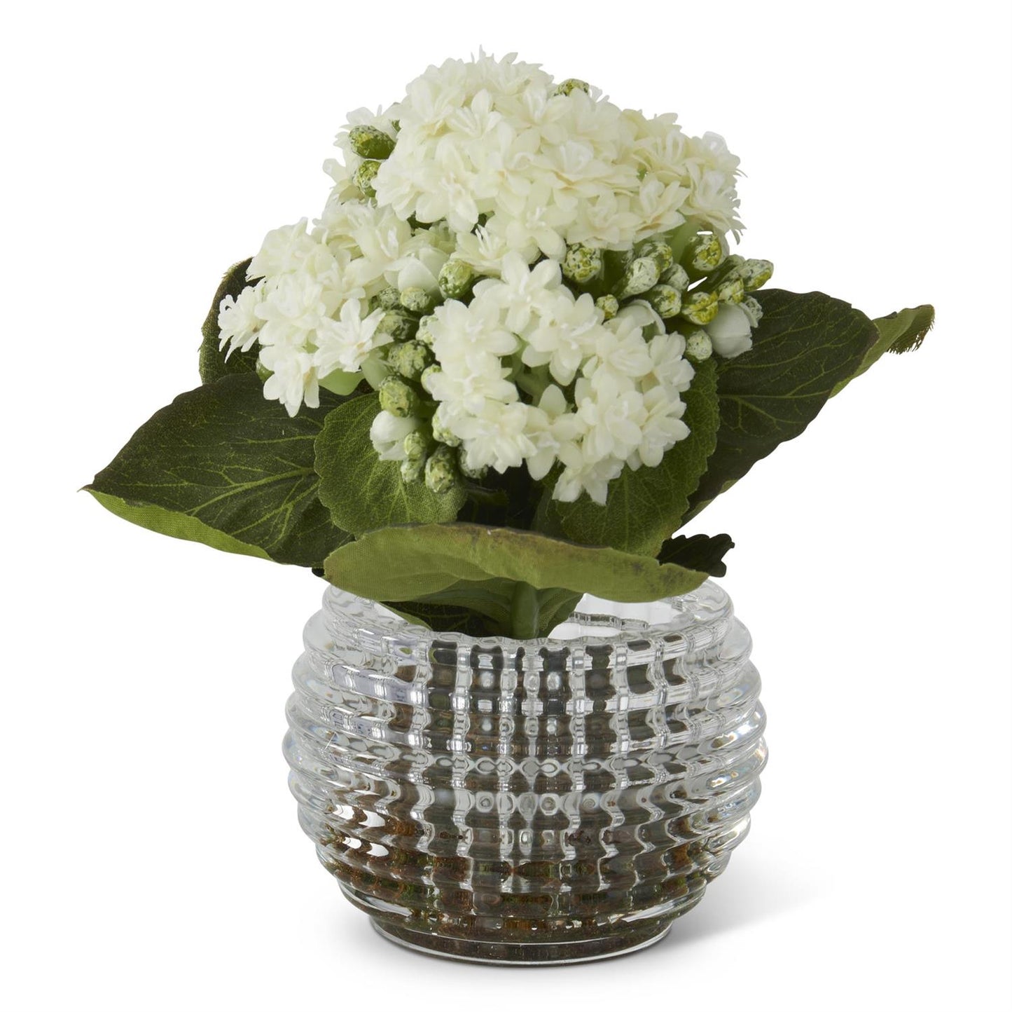 Kalanchoe in Pressed Glass Vase