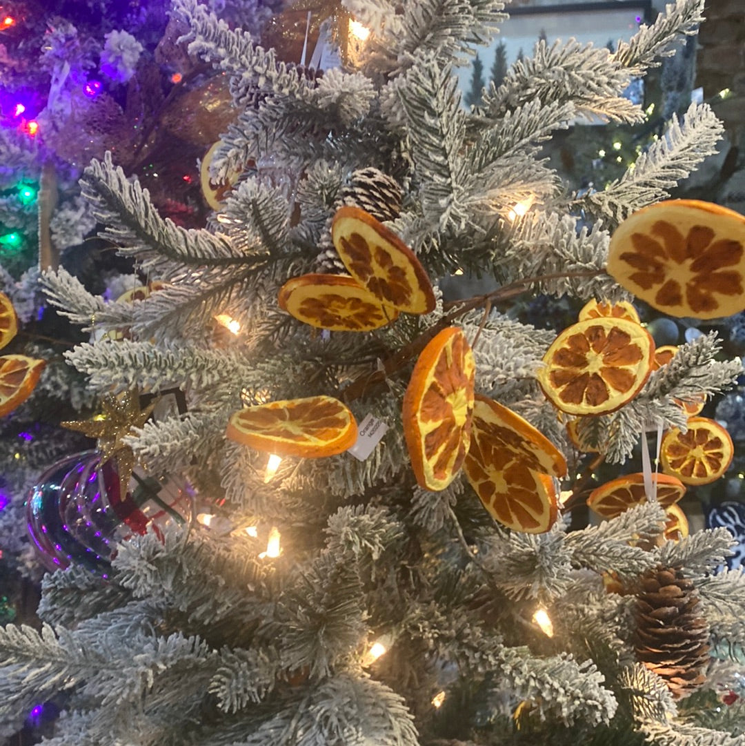Orange Slice Stem