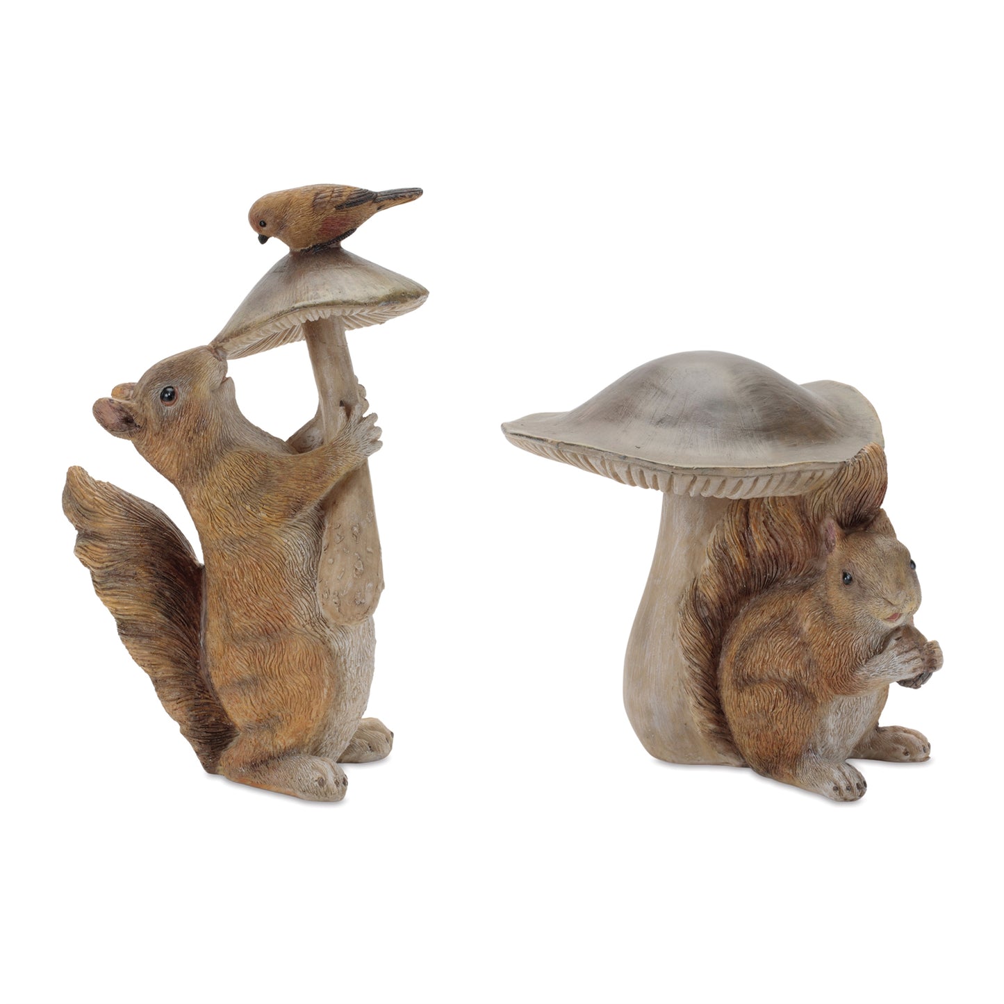 Squirrel with Mushroom