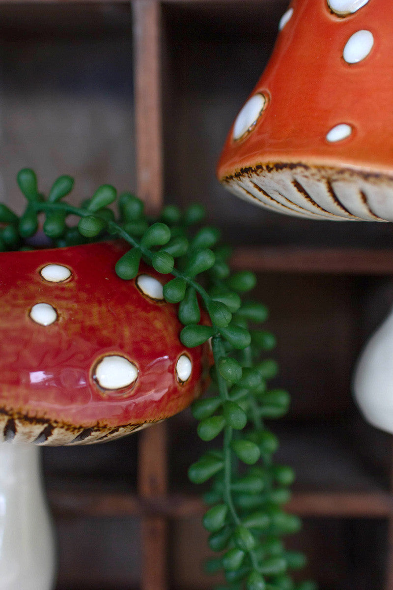 Toadstool Wall Hanger