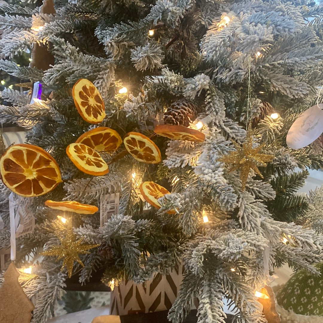 Orange Slice Stem