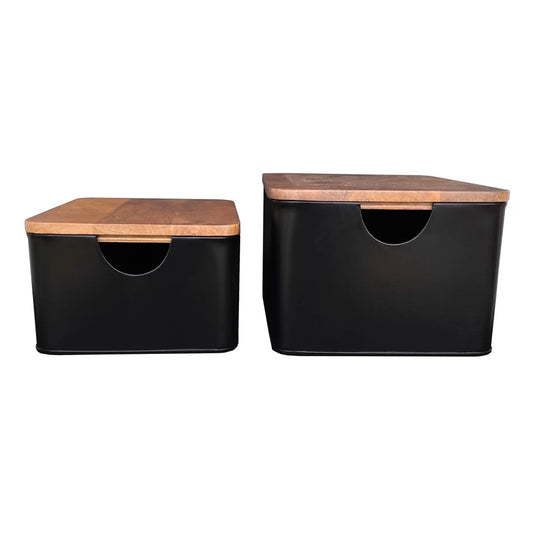 Metal Containers with Mango Lids