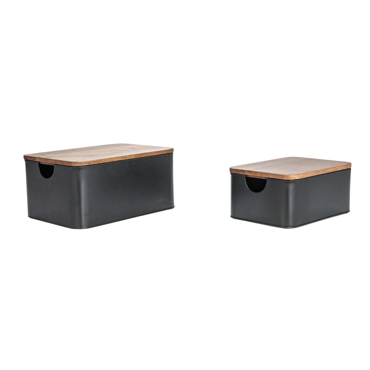 Metal Containers with Mango Lids