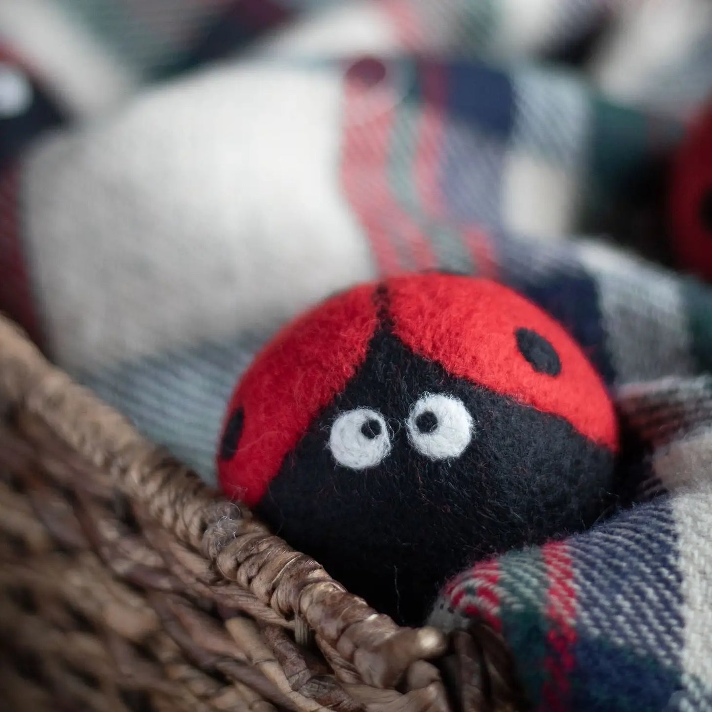 Ladybug Eco Dryer Ball
