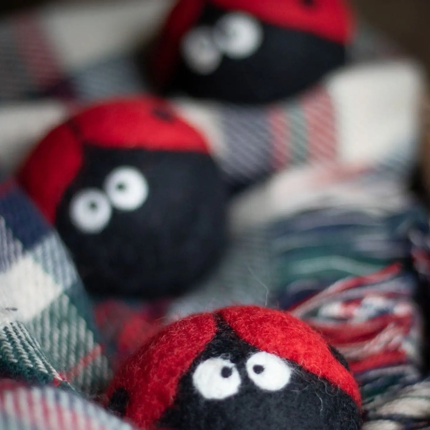 Ladybug Eco Dryer Ball
