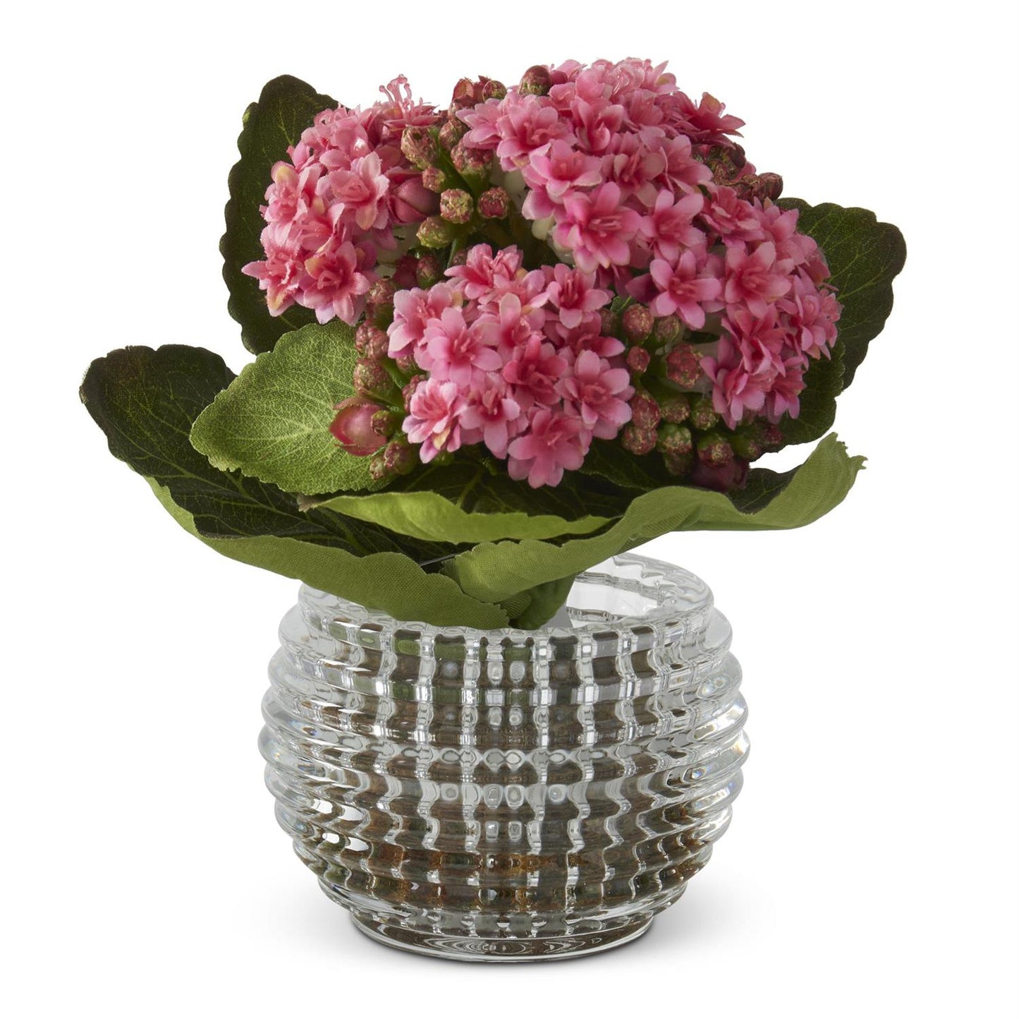 Kalanchoe in Pressed Glass Vase