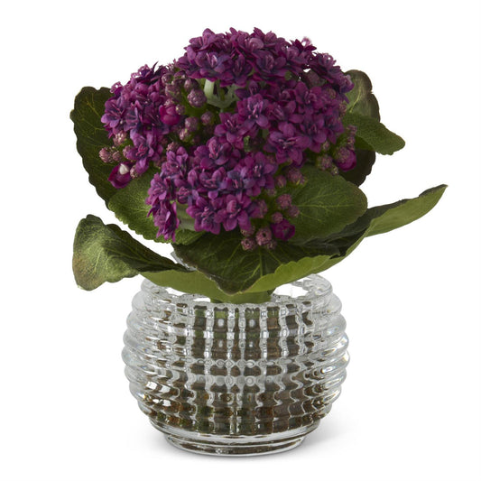 Kalanchoe in Pressed Glass Vase