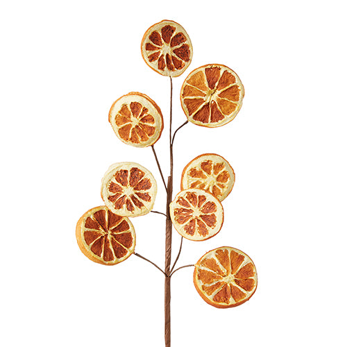 Orange Slice Stem