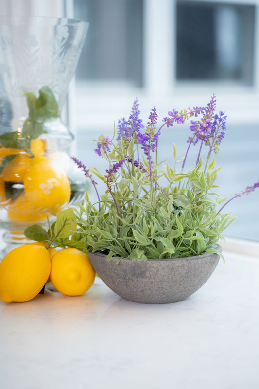 Purple Lavender in Bowl