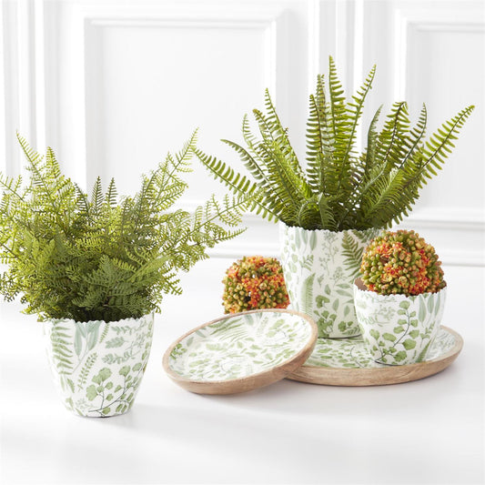 A collection of potted plants with green fern leaves, arranged on a surface. The pots have a white base color with a leaf pattern.