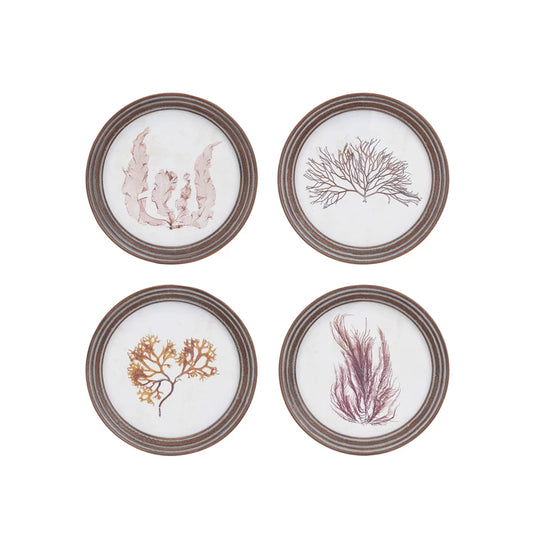 Botanical Round Framed Wall Decor