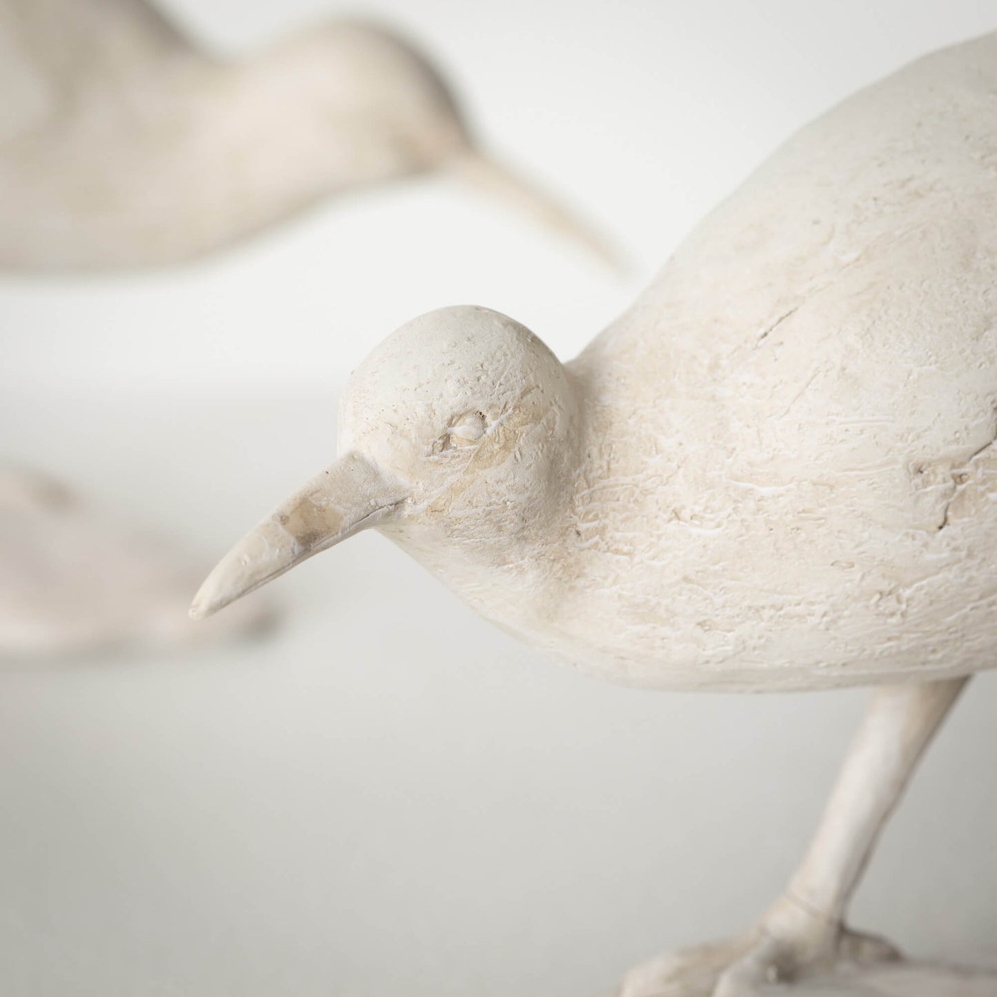 close up of white sea bird accent decor