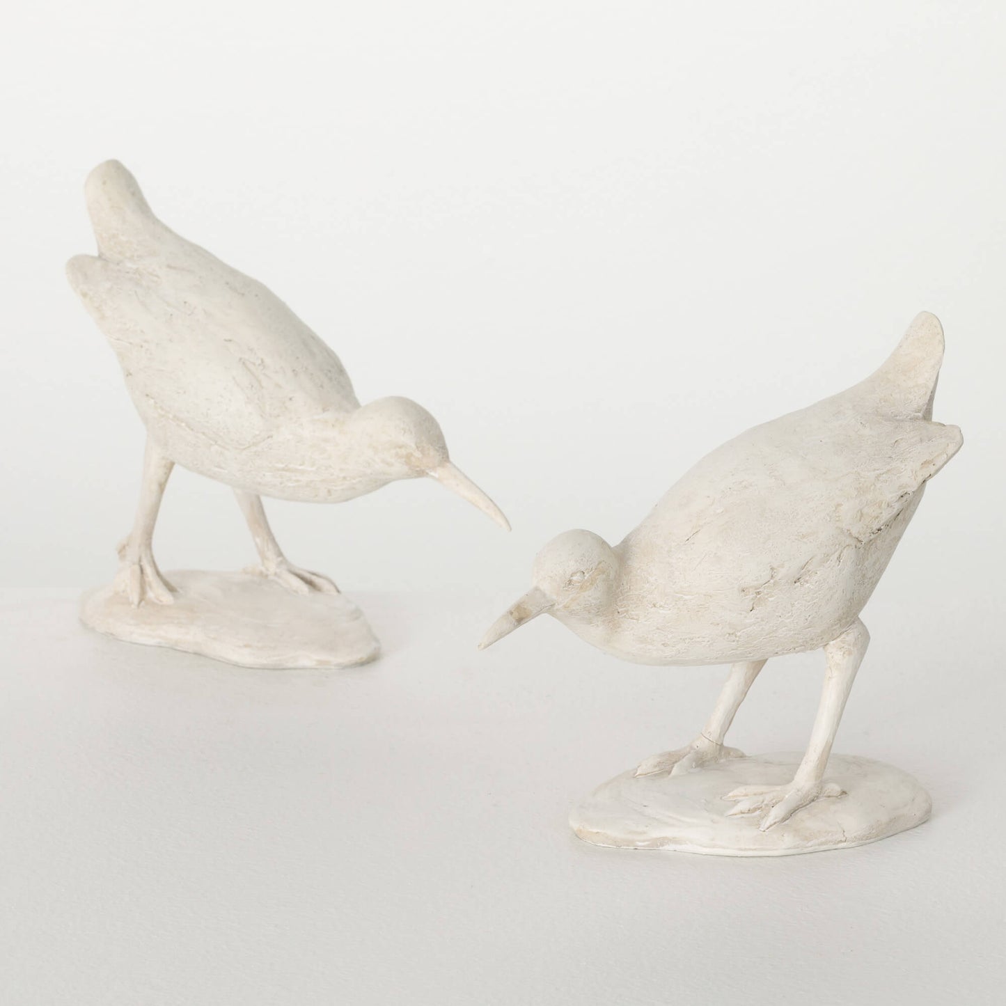 pair of white sea birds on white background