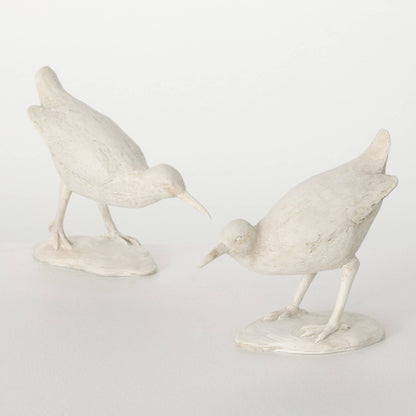 pair of white sea birds on white background