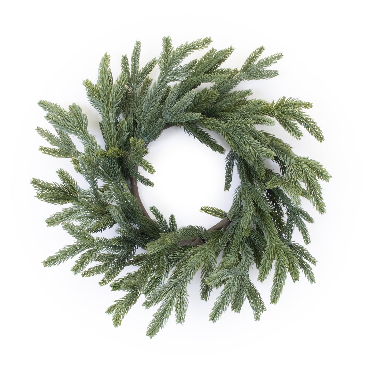 Spruce candle ring wreath made of green pine branches in a circular shape