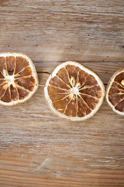 Dried Orange Slice Garland