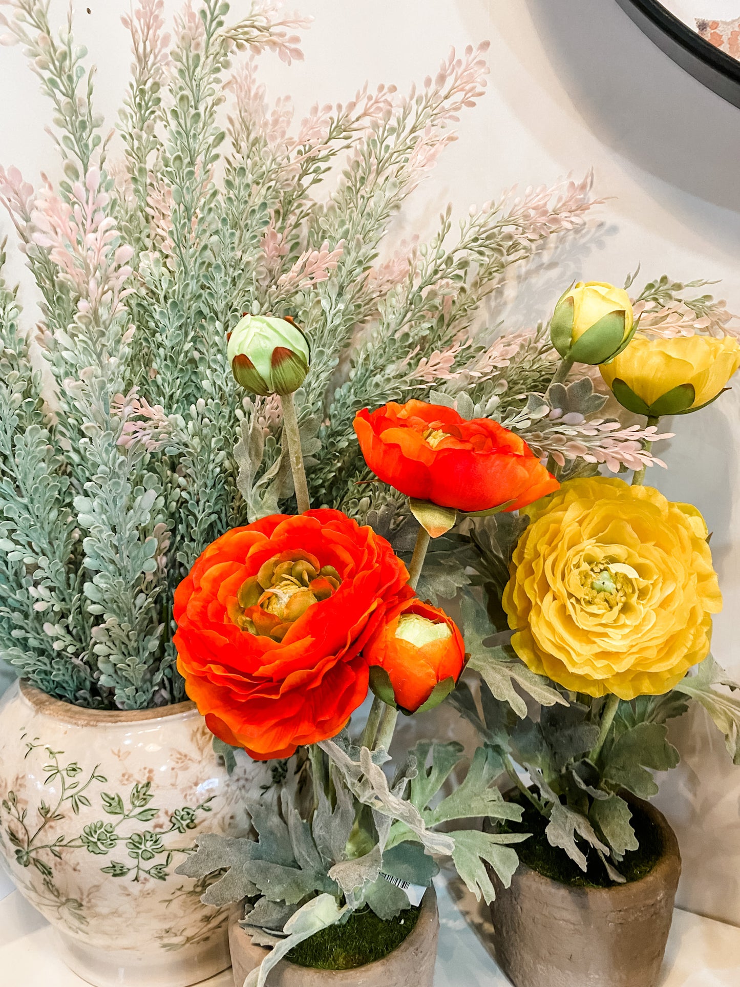 Ranunculus in Clay Pot